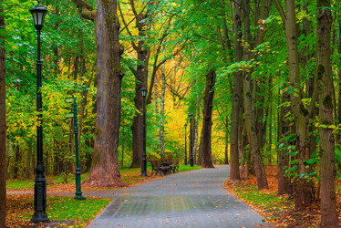 Similar image 7275676