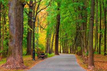 Similar image 7275754