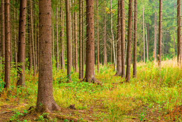 Similar image 7275802