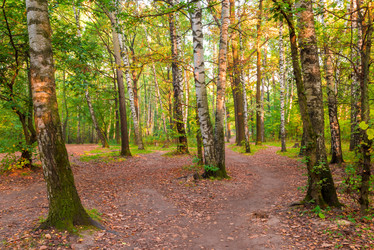 Similar image 7275834