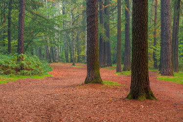 Similar image 7275836