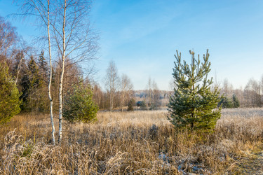 Similar image 7294335