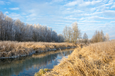 Similar image 7294336