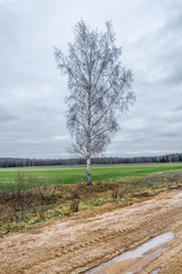 Similar image 7294337