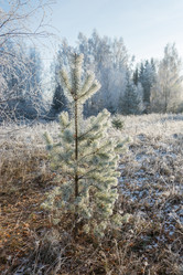 Similar image 7294339