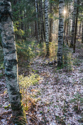 Similar image 7294340