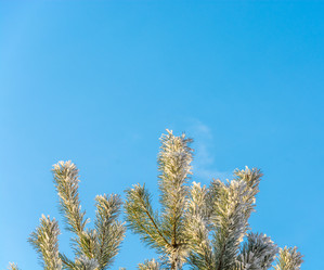 Similar image 7294342