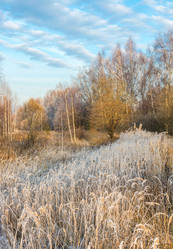 Similar image 7294346