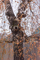 Similar image 7294348