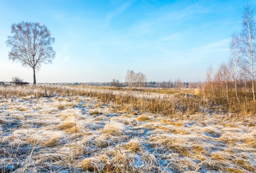 Similar image 7294349