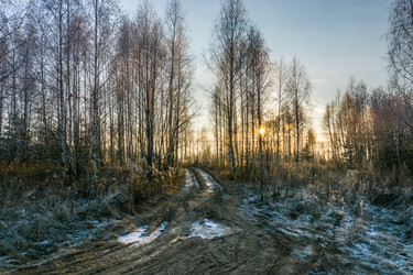 Similar image 7294351