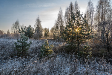 Similar image 7294353