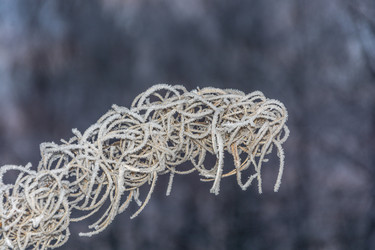 Similar image 7294397