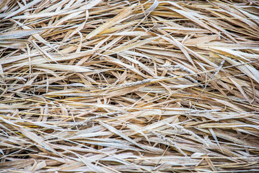 Similar image 7294399