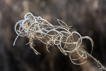 Similar image 7294404