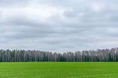 Similar image 7294416