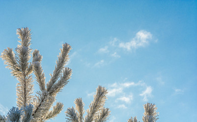 Similar image 7294580