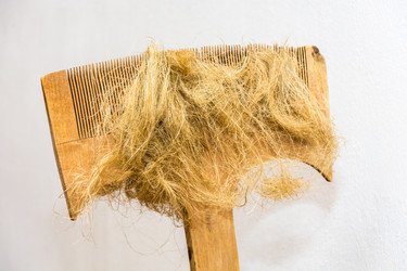 Similar image 7294581