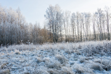 Similar image 7294582