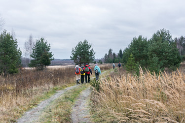 Similar image 7294585