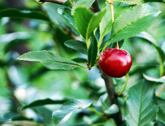 Similar image 7294845