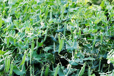 Similar image 7294846