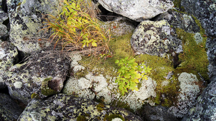 Similar image 7294847