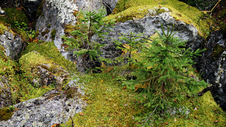 Similar image 7294848