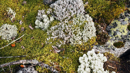 Similar image 7294849