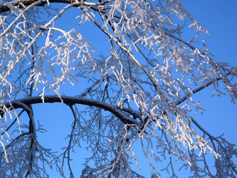 Similar image 7294862