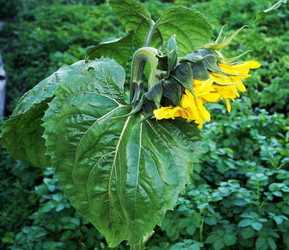 Similar image 7295279