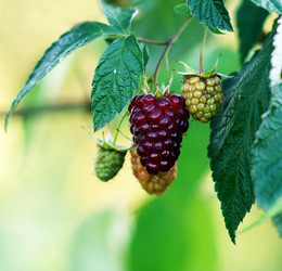 Similar image 7295282