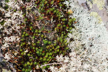 Similar image 7295283