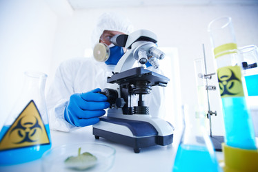 Similar image 7295620