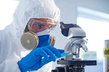 Similar image 7295621