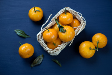 Similar image 7296001