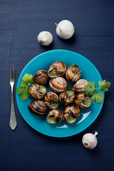 Similar image 7296057