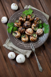 Similar image 7296058