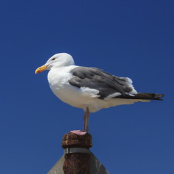 Similar image 7296822