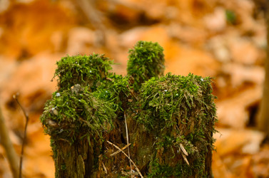 Similar image 7303384