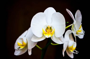 Similar image 7303386