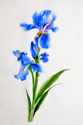 Similar image 7303461