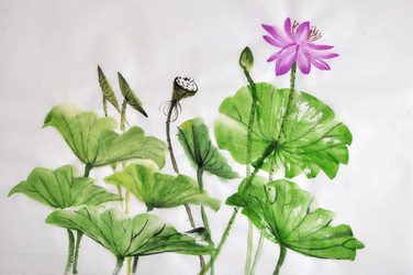 Similar image 7303462