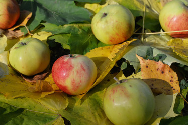 Similar image 7303494