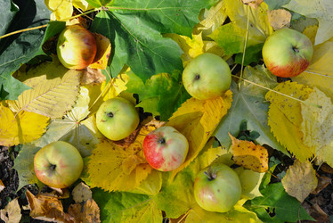 Similar image 7303497