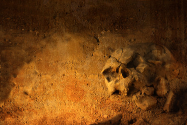 Similar image 7303602