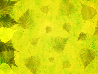 Similar image 7303676