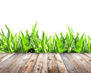 Similar image 7303707