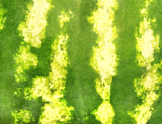 Similar image 7303727