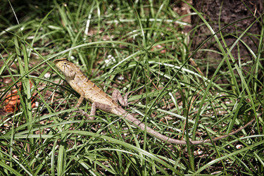 Similar image 7304128